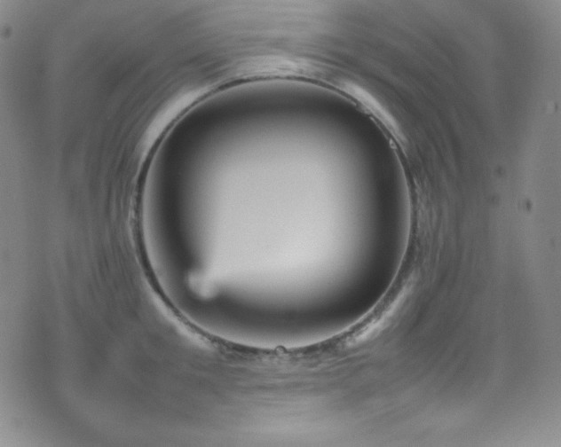X0000077290901200610201131