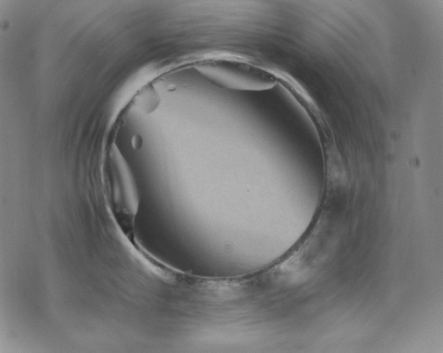 X0000077290910200610201131