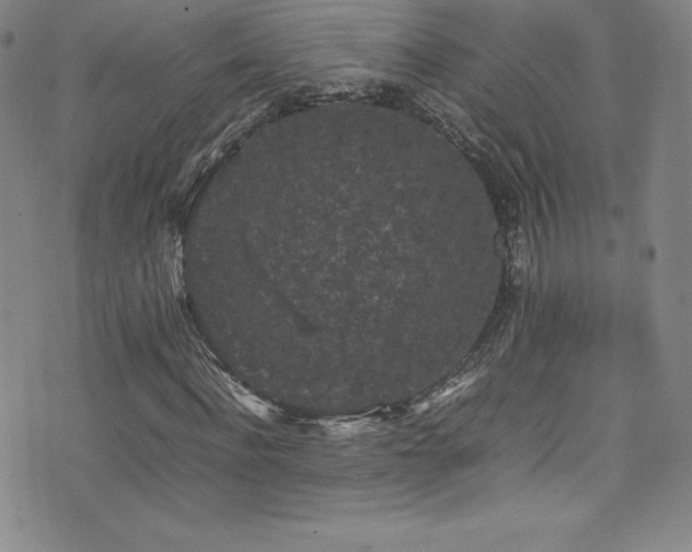 X0000077290916200610201130