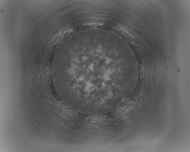 X0000077290917200610201130