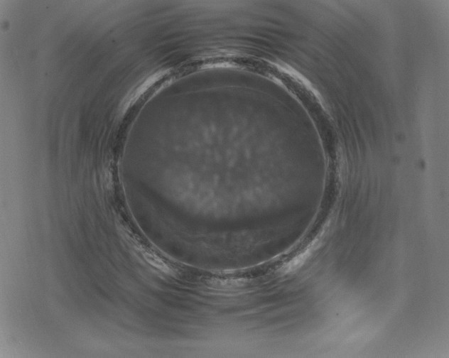 X0000077290921200610201130
