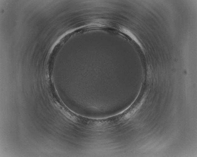 X0000077290923200610201130