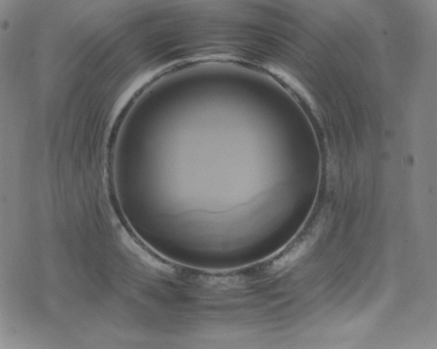 X0000077290941200610201130