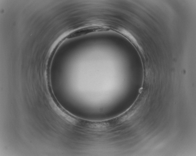 X0000077290947200610201130