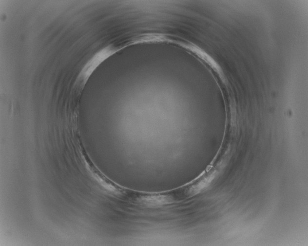 X0000077290953200610201130