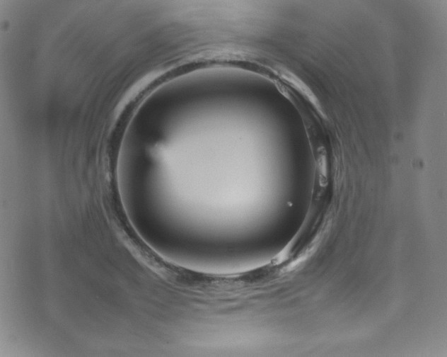 X0000077290981200610201129