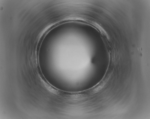 X0000077290988200610201129