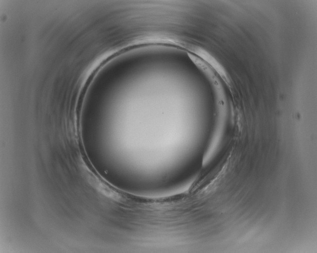 X0000077290996200610201129