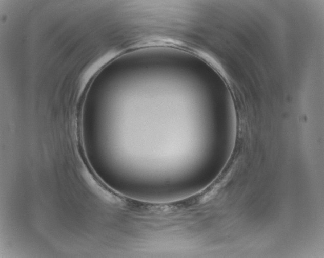 X0000077291003200610201129