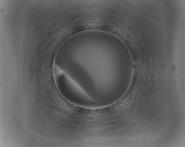X0000077291009200610201128
