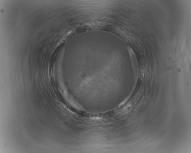 X0000077291010200610201128
