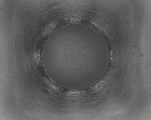 X0000077291011200610201128