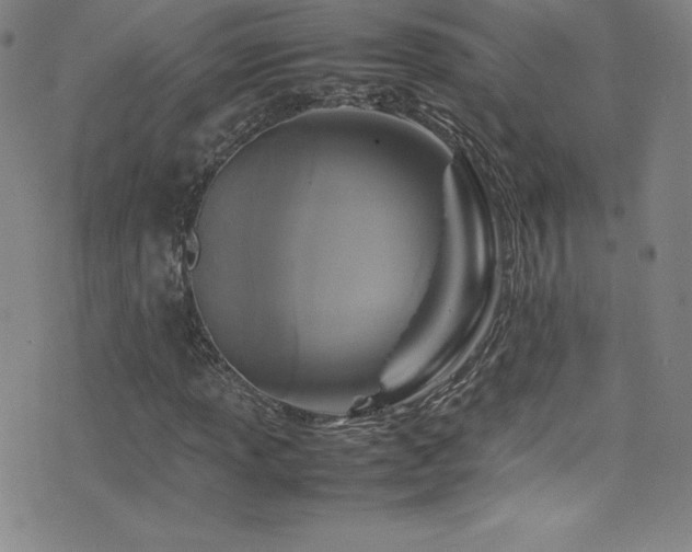 X0000077291013200610201128
