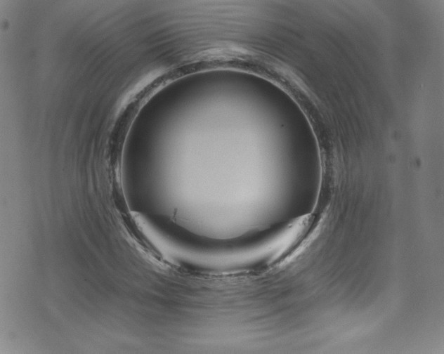 X0000077291018200610201128