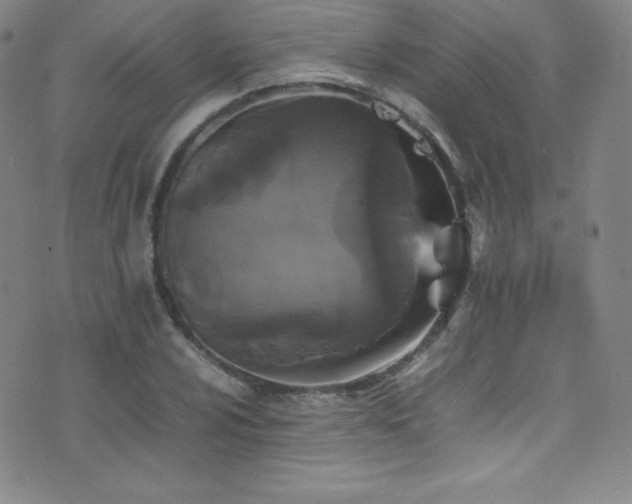 X0000077291024200610201128