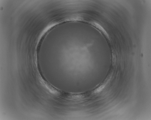 X0000077291035200610201129