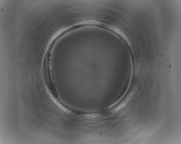 X0000077291037200610201129