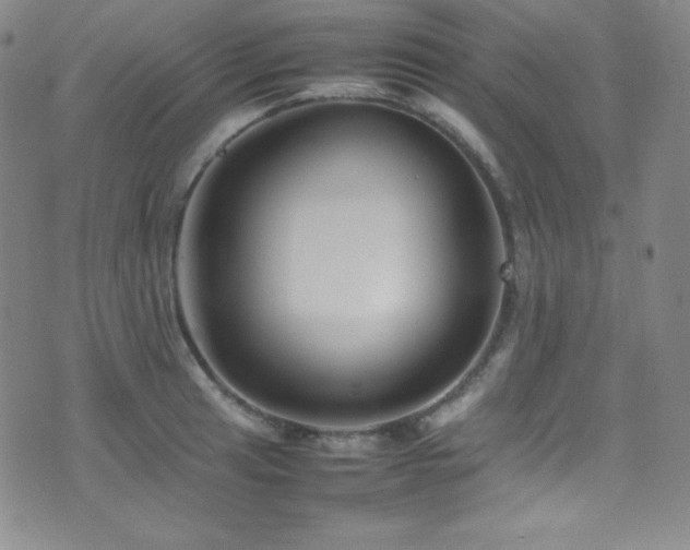X0000077291041200610201129