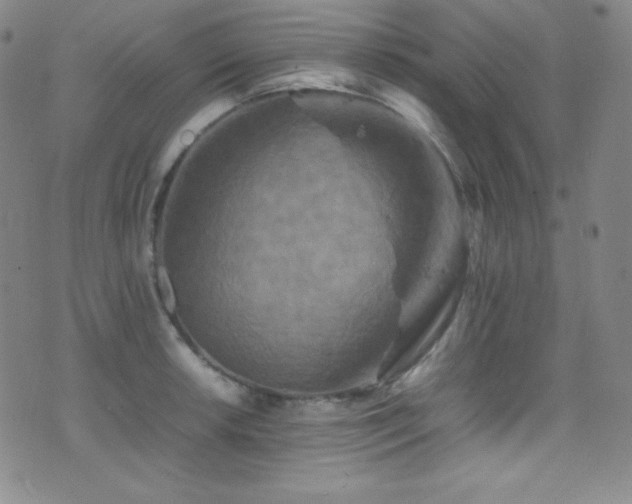 X0000077291042200610201129