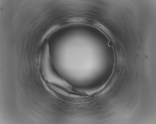 X0000077291049200610201129