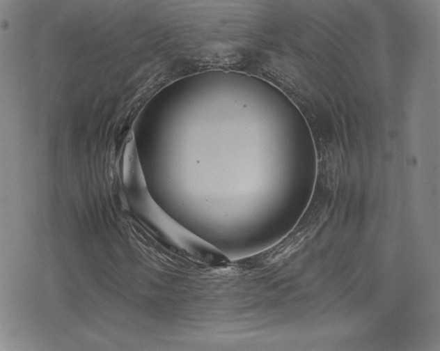 X0000077291058200610201128