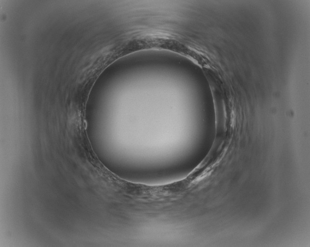 X0000077291061200610201128