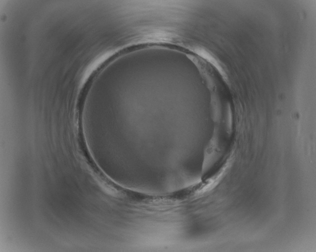 X0000077291077200610201128