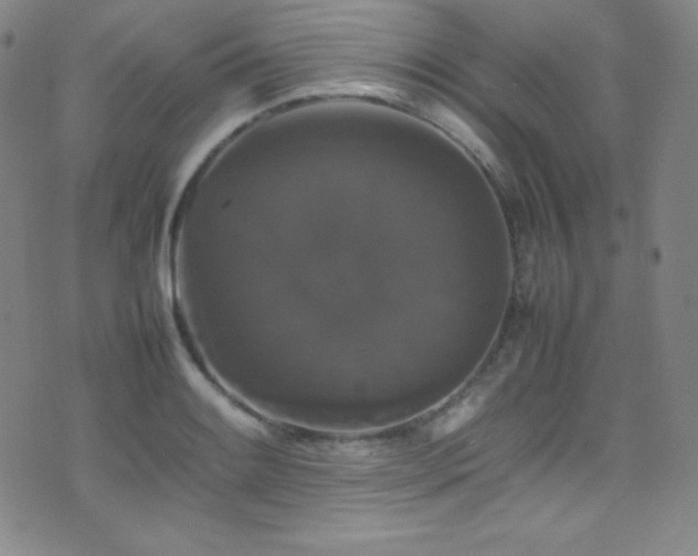 X0000077291084200610201128