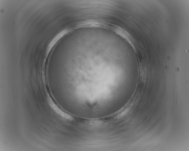 X0000077291090200610201128