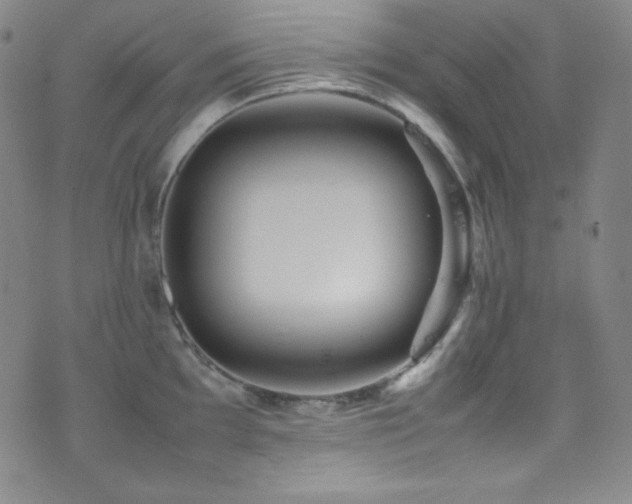 X0000077291097200610201128