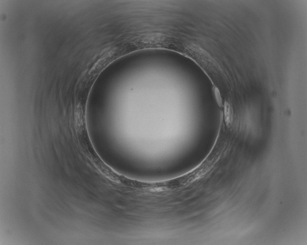 X0000077291107200610201127