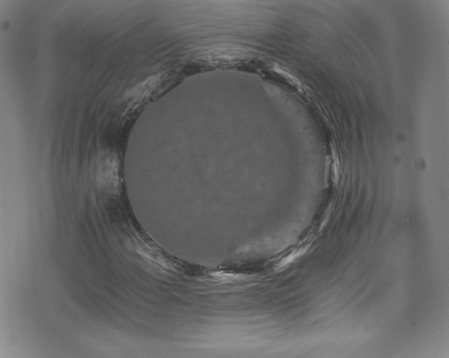X0000077291108200610201127