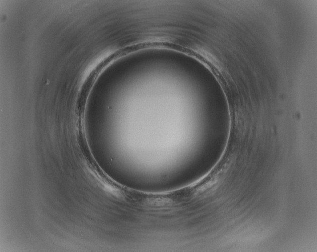 X0000077291119200610201127