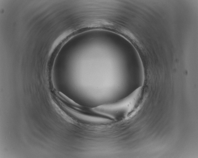 X0000077291122200610201127
