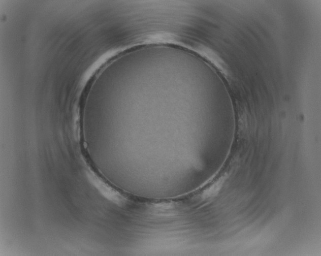 X0000077291126200610201127
