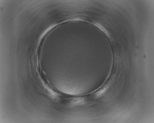 X0000077291127200610201127