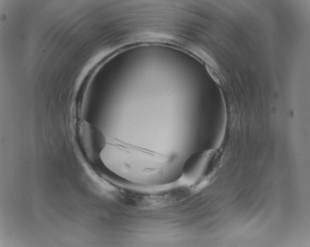 X0000077291128200610201127