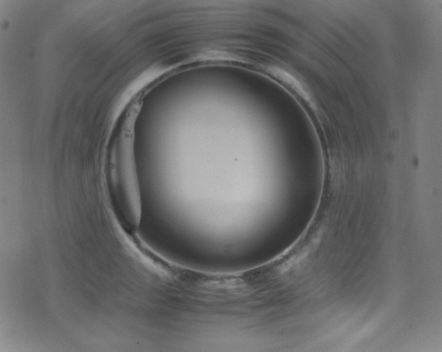 X0000077291133200610201127