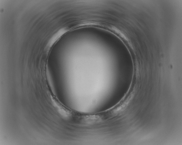 X0000077291137200610201127