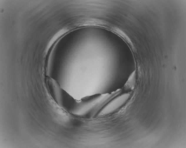 X0000077291138200610201127
