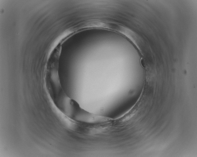 X0000077291139200610201127
