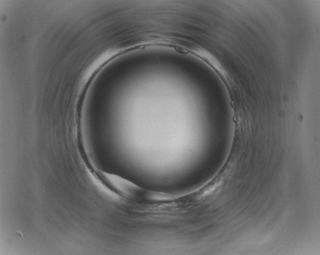 X0000077291143200610201127