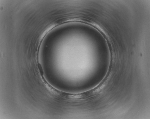 X0000077291145200610201127