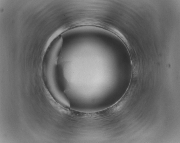 X0000077291146200610201127