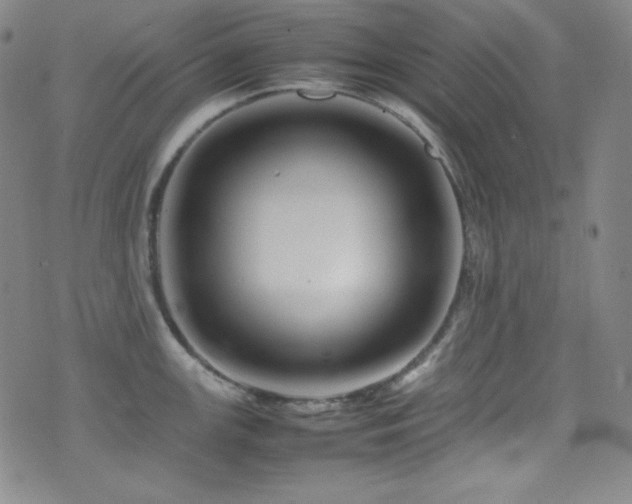X0000077291147200610201127