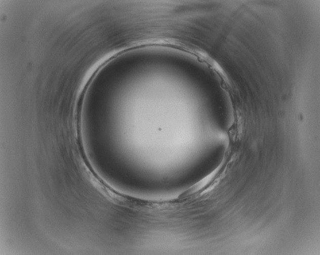 X0000077291148200610201127