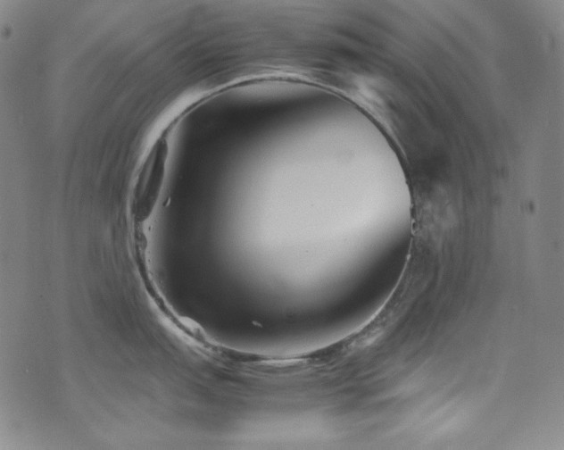 X0000077291151200610201127