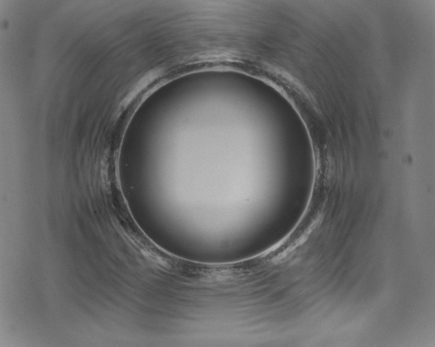 X0000077291162200610201126