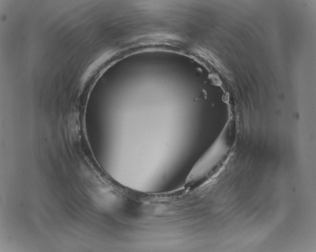 X0000077291164200610201126