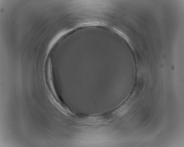 X0000077291179200610201126